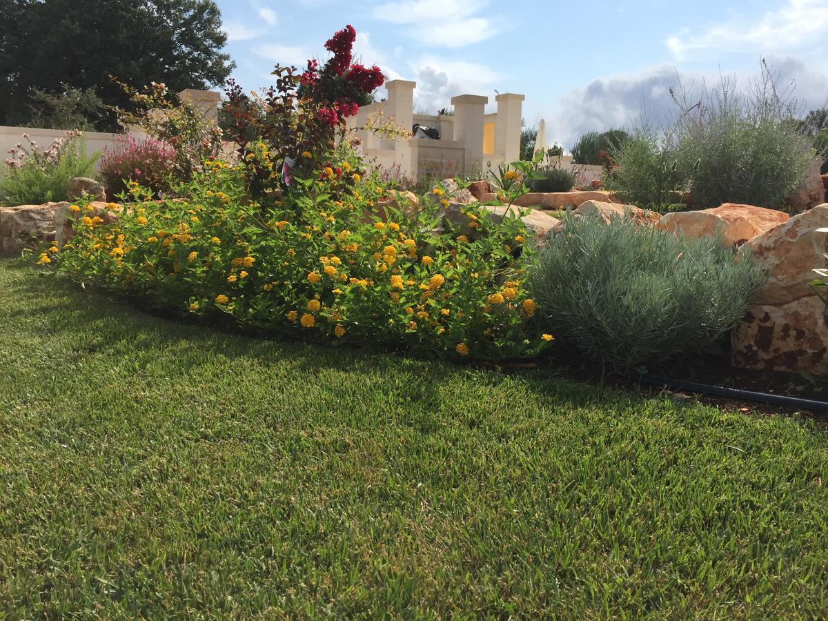 Trulli Isago Bed & Breakfast Locorotondo Bagian luar foto